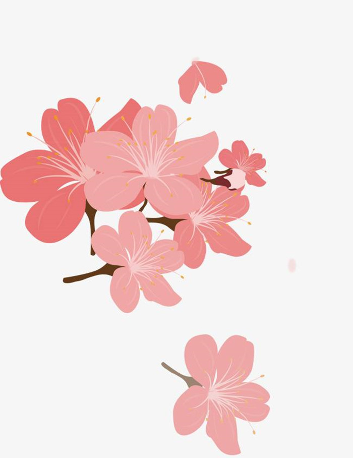 樱花花瓣矢量图-樱花花瓣矢量图片素材下载_懒人图库