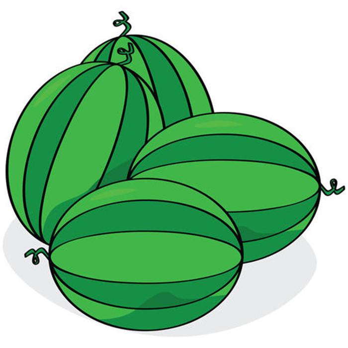 西瓜卡通矢量图