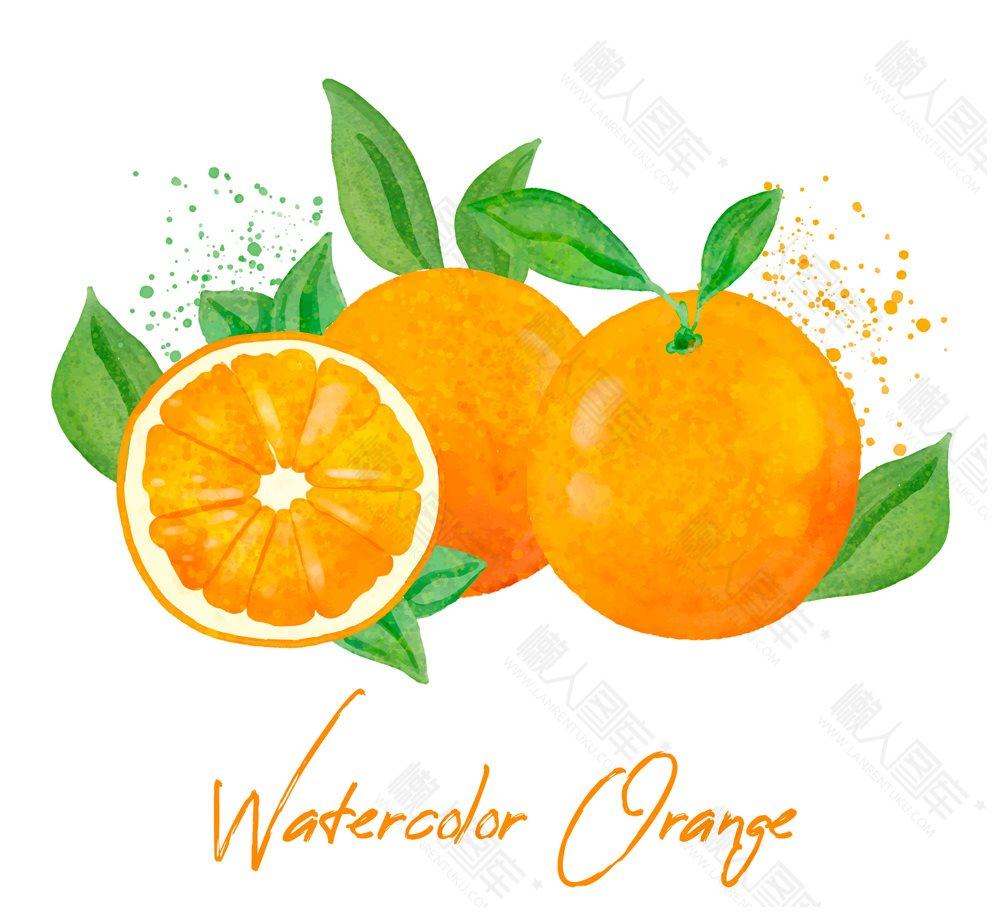 手绘新鲜橙子图片