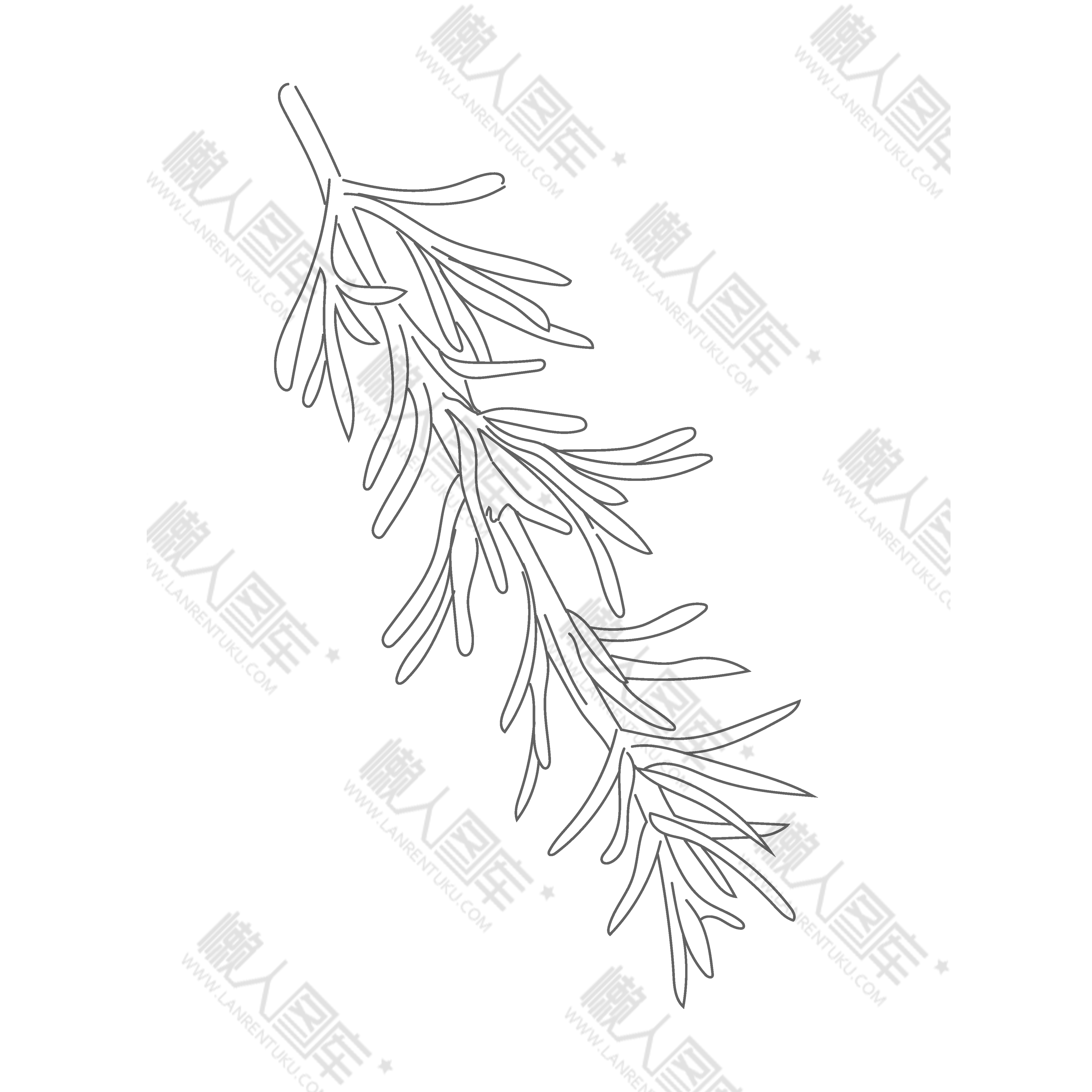 素描蔬菜图片图1
