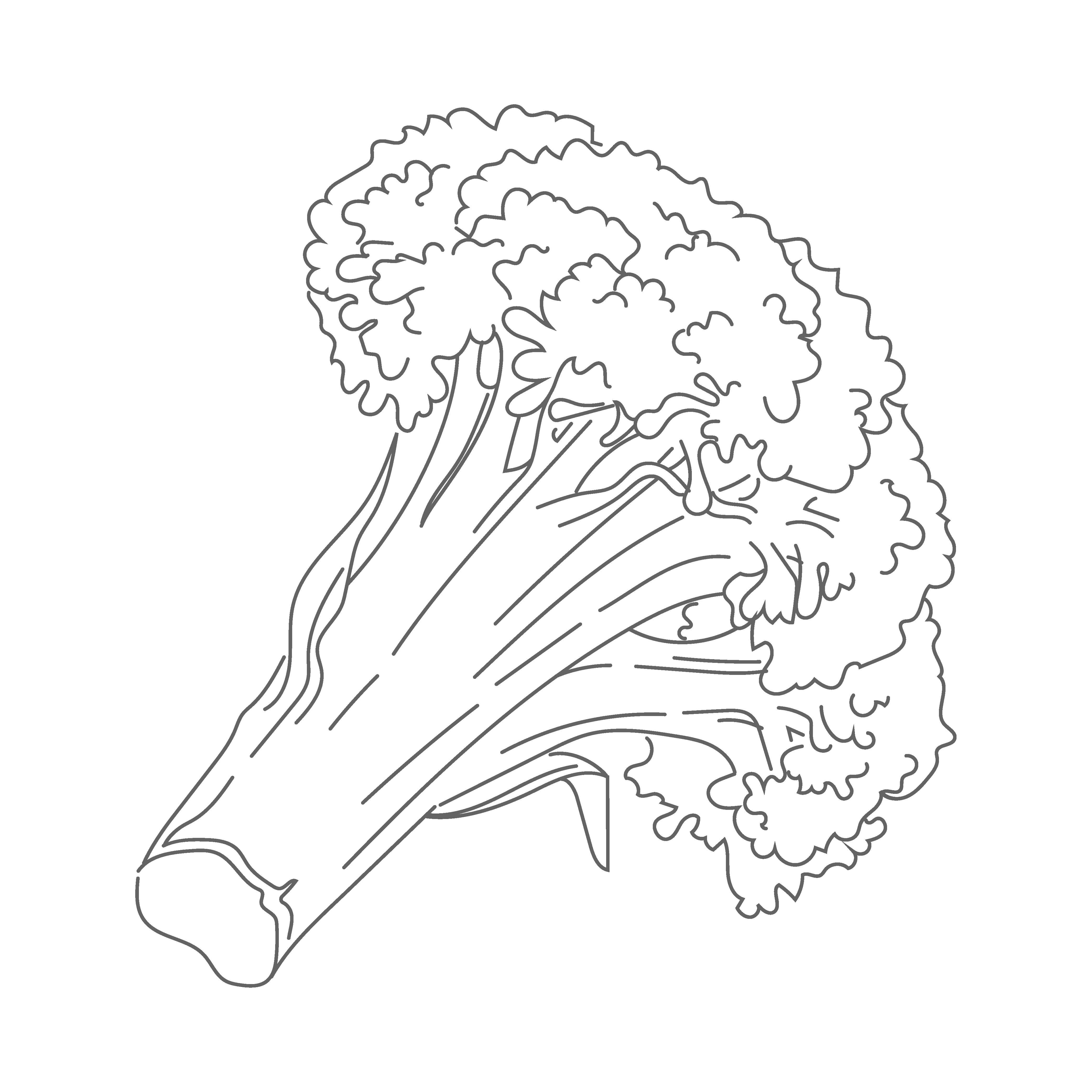 素描蔬菜矢量图图1