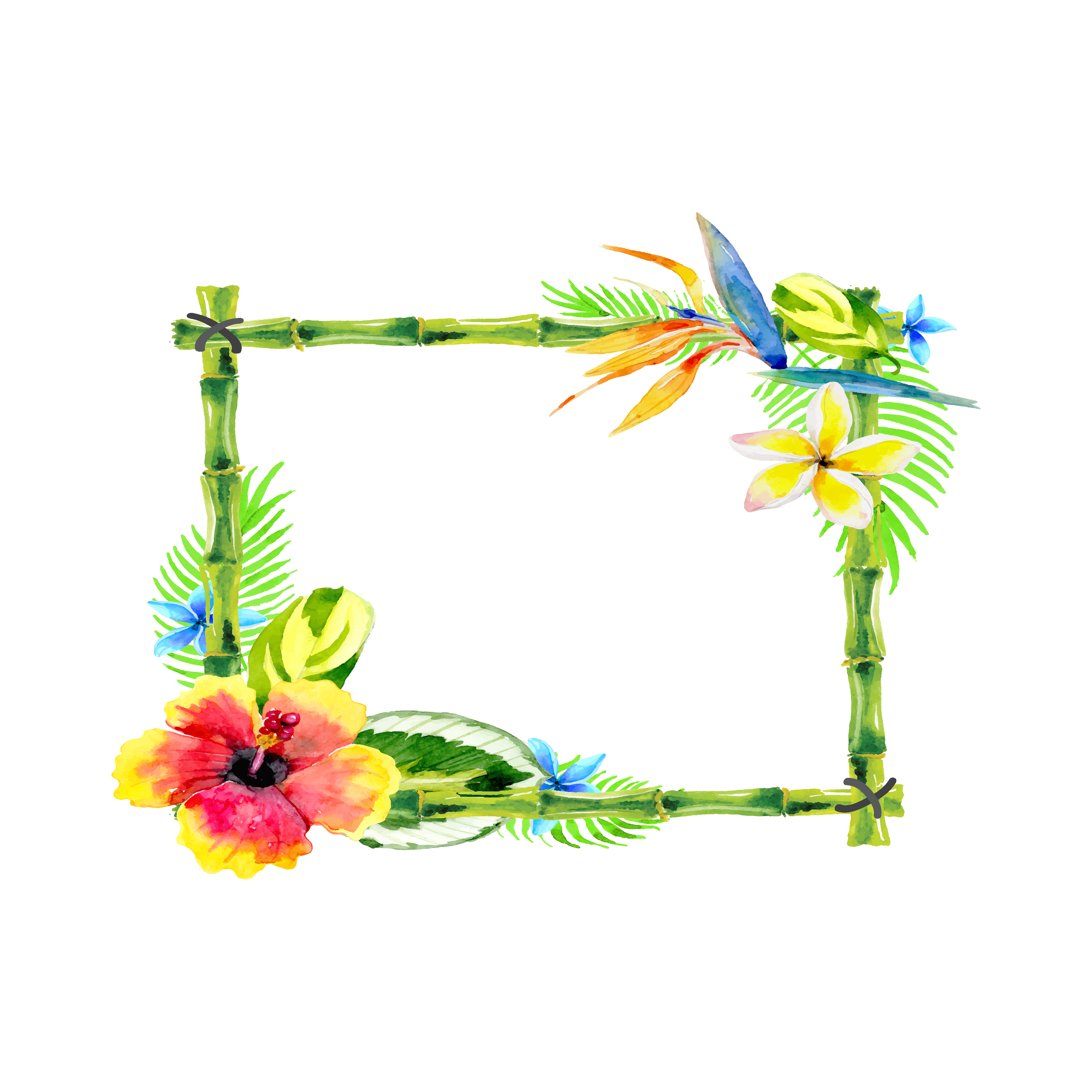 花卉绿叶藤蔓边框素材图1