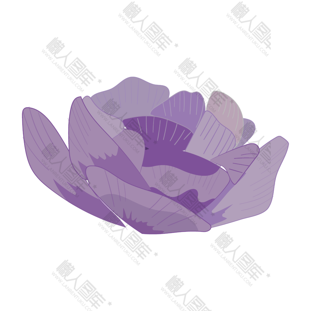 紫色花卉效果图
