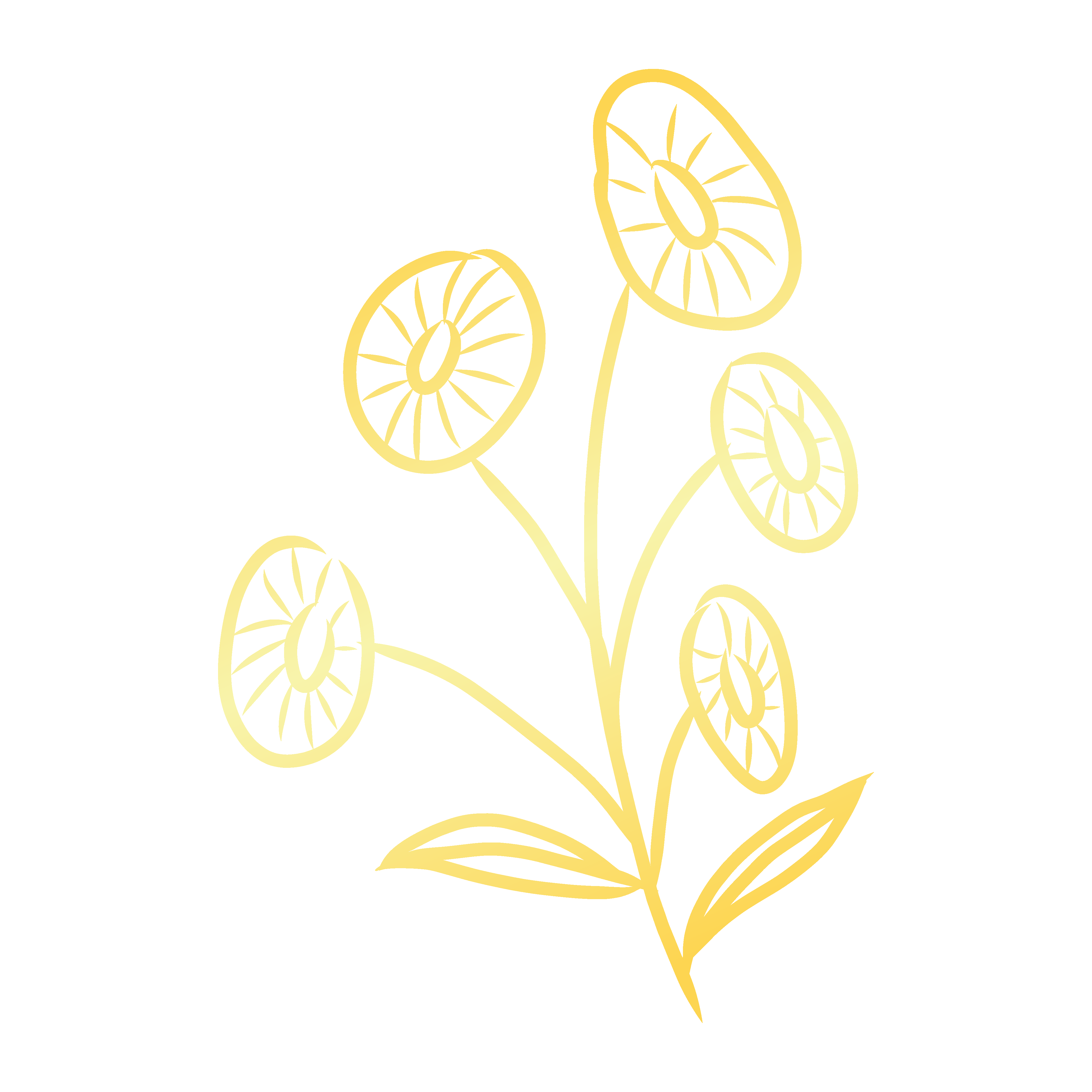 小清新金色花朵图片图1