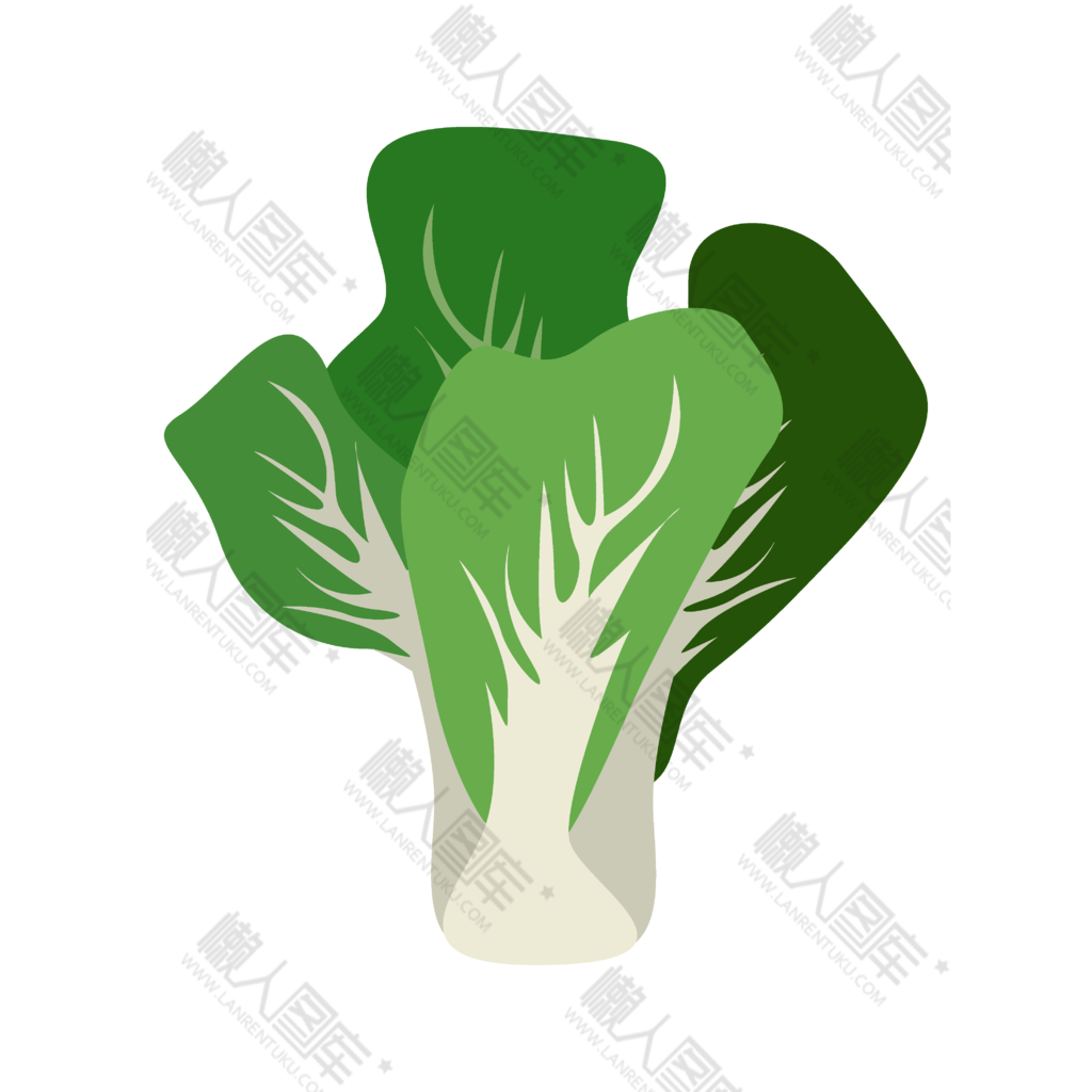 绿色大白菜免抠图