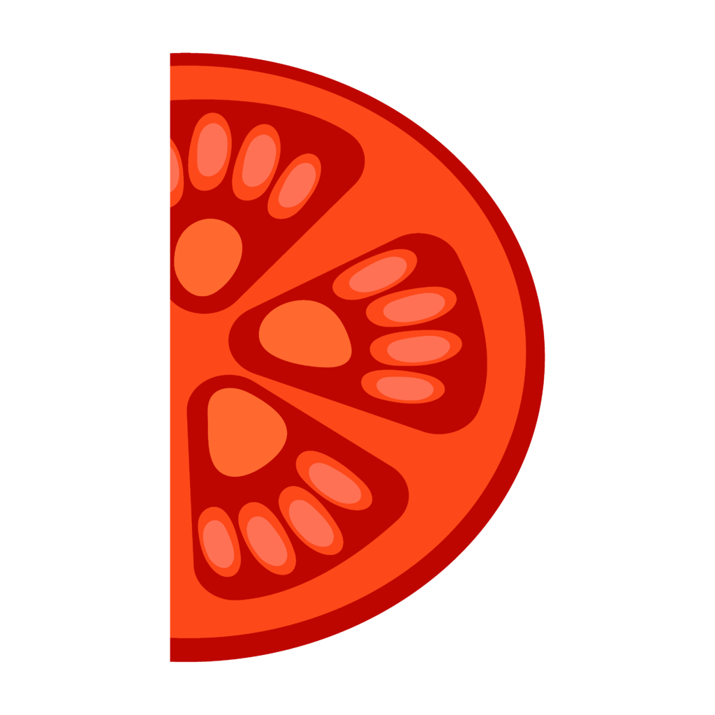 红色番茄切片矢量图片
