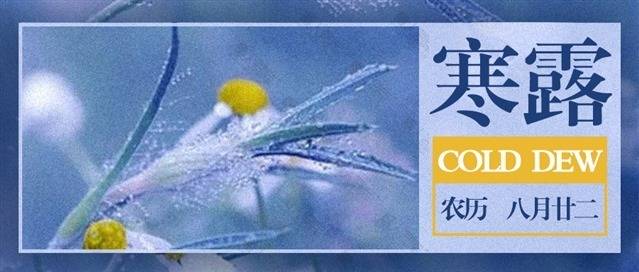 寒露微信公众号图片图1