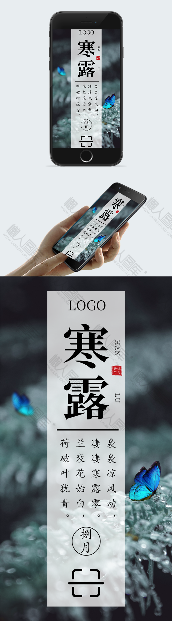 寒露海报设计图2