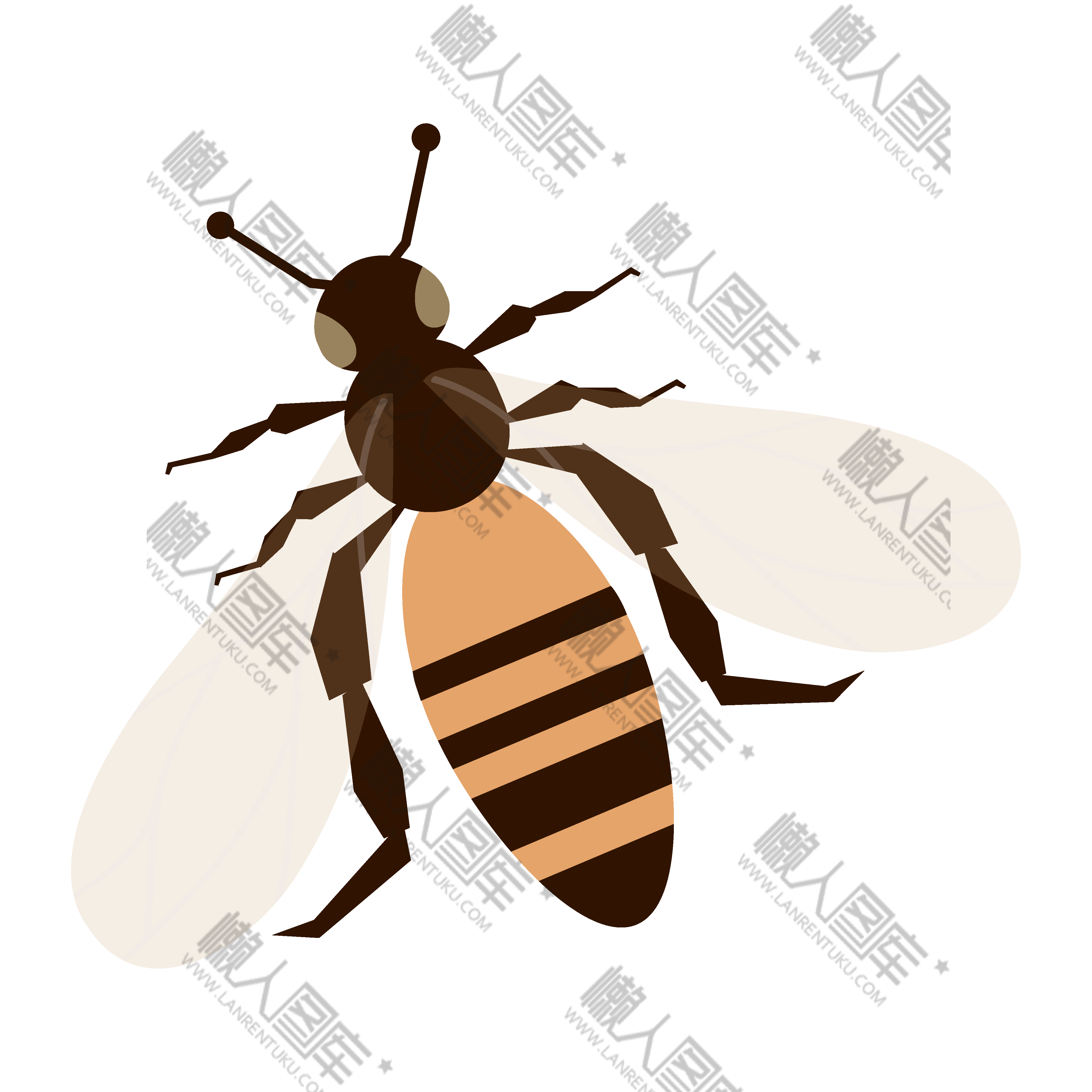 彩绘蜜蜂免抠图