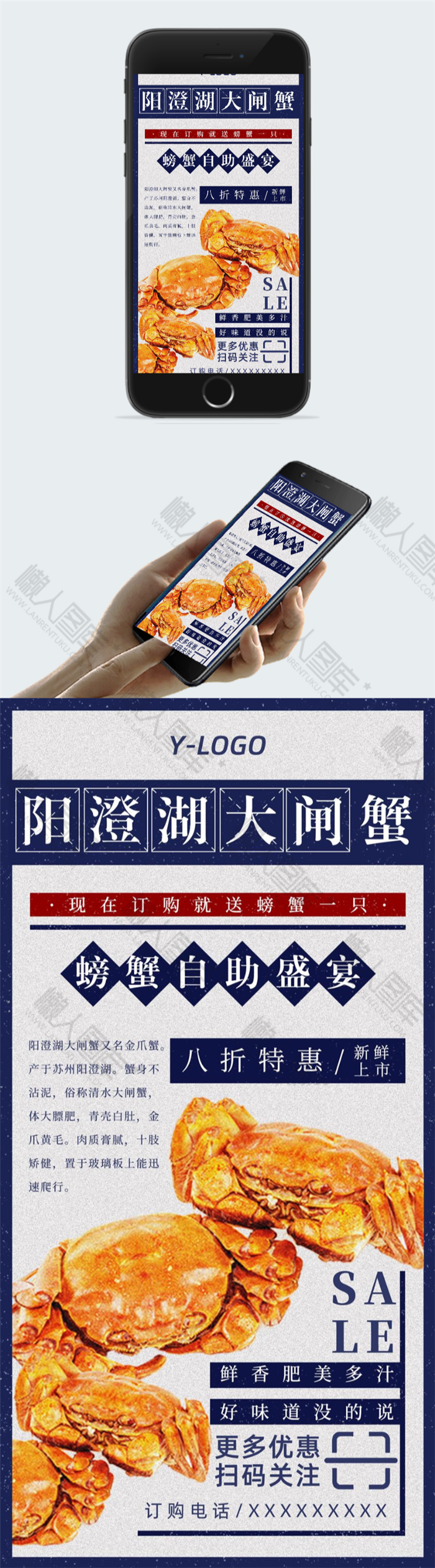 阳澄湖大闸蟹促销图片图2