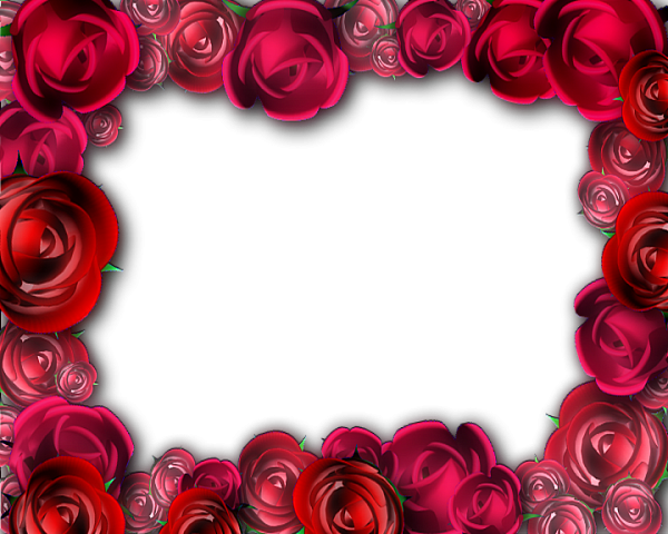 玫瑰花相框图片