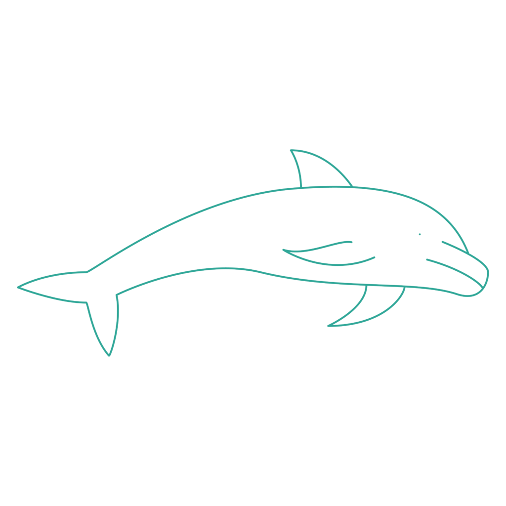 手绘海豚图片