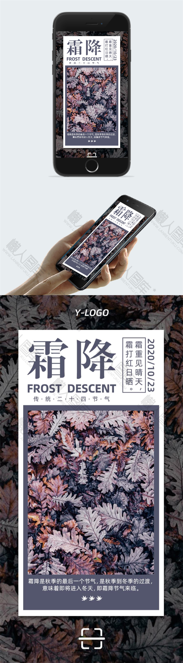 霜降唯美图片图2
