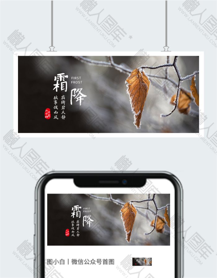 霜降公众号首图图2