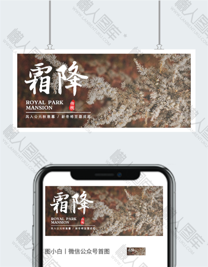 今日霜降公众号首图图2