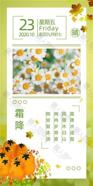 小雏菊霜降日签海报图1