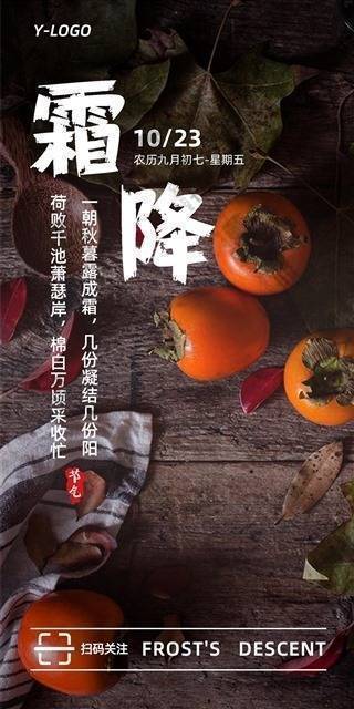 极简风霜降节气海报