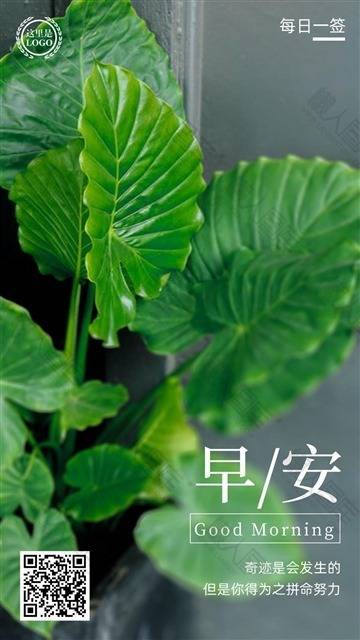 露珠早安日签图片图1