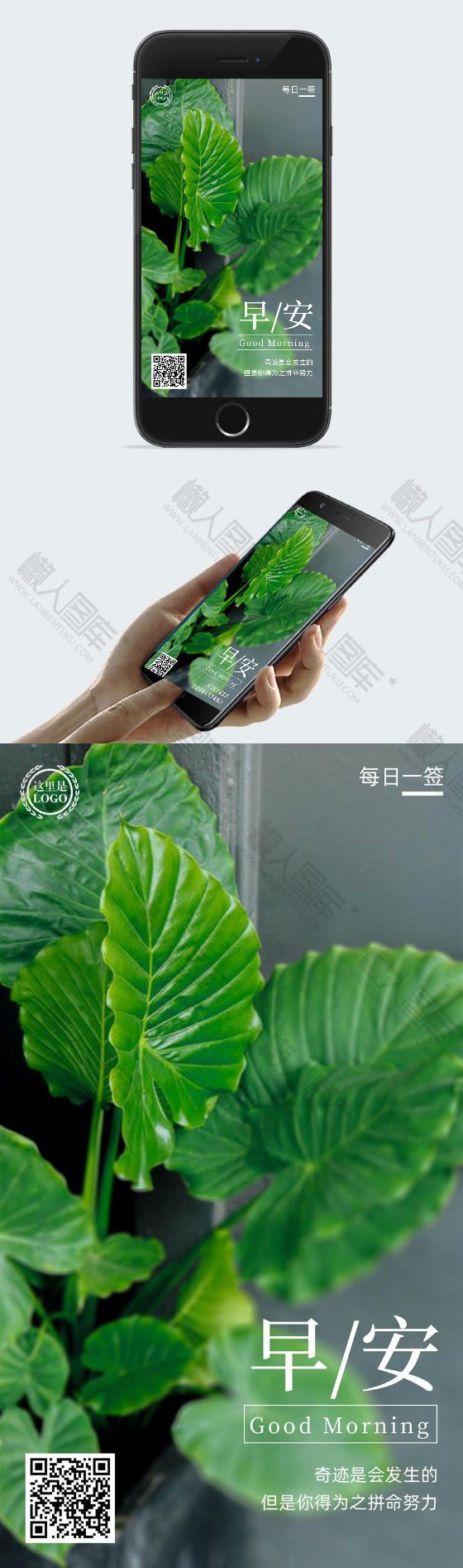露珠早安日签图片图2