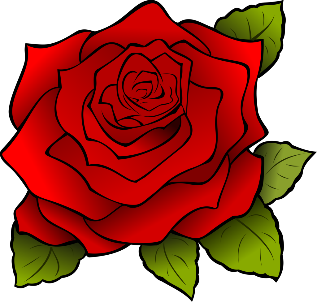 手绘红玫瑰玫瑰花