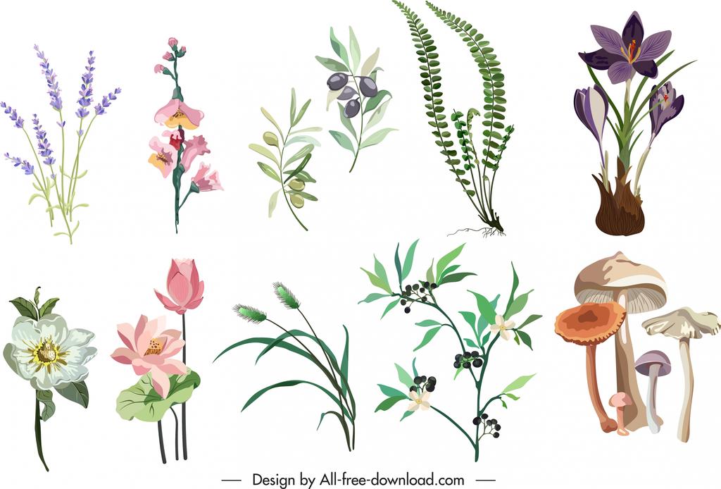 植物花卉卡通图片