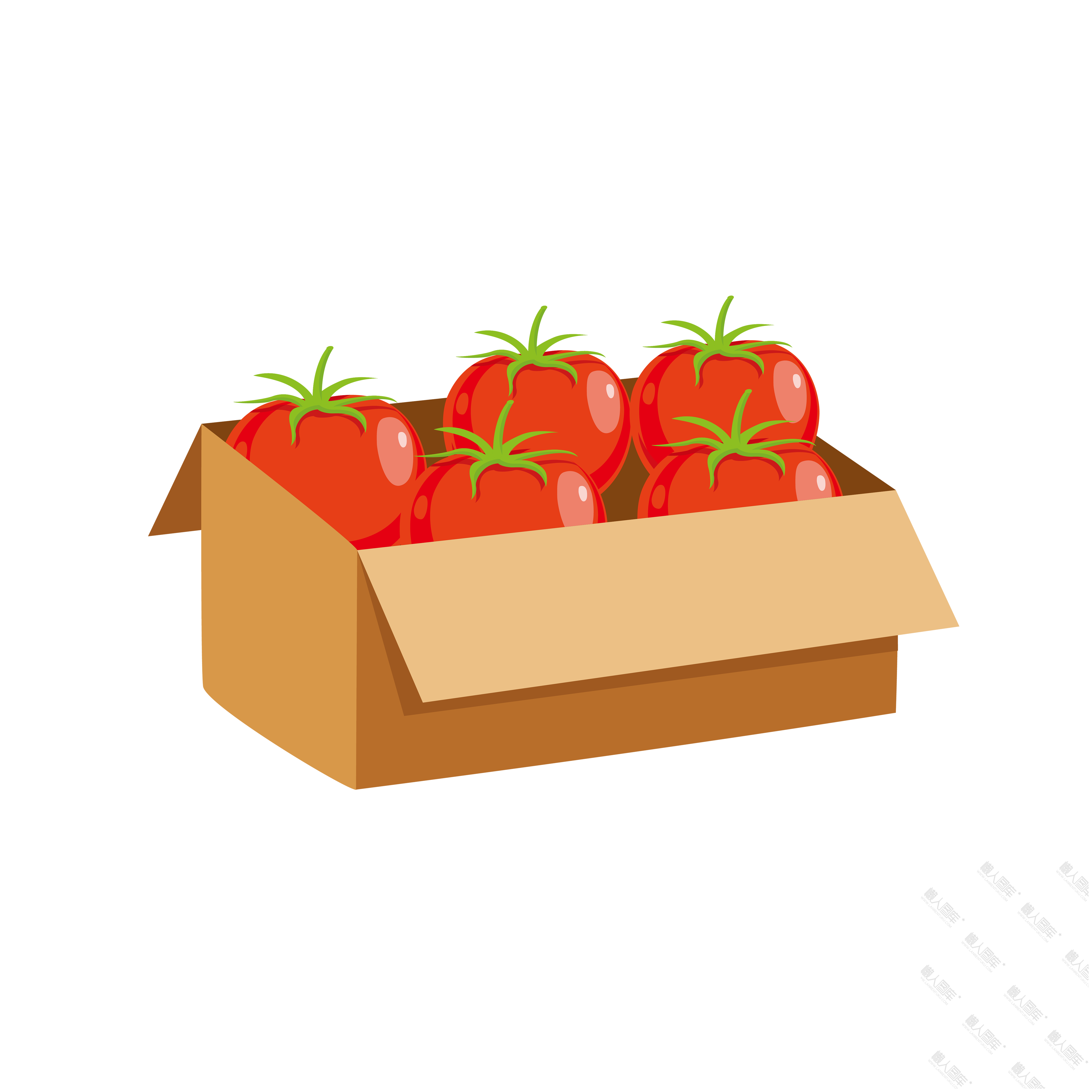 一箱番茄插画