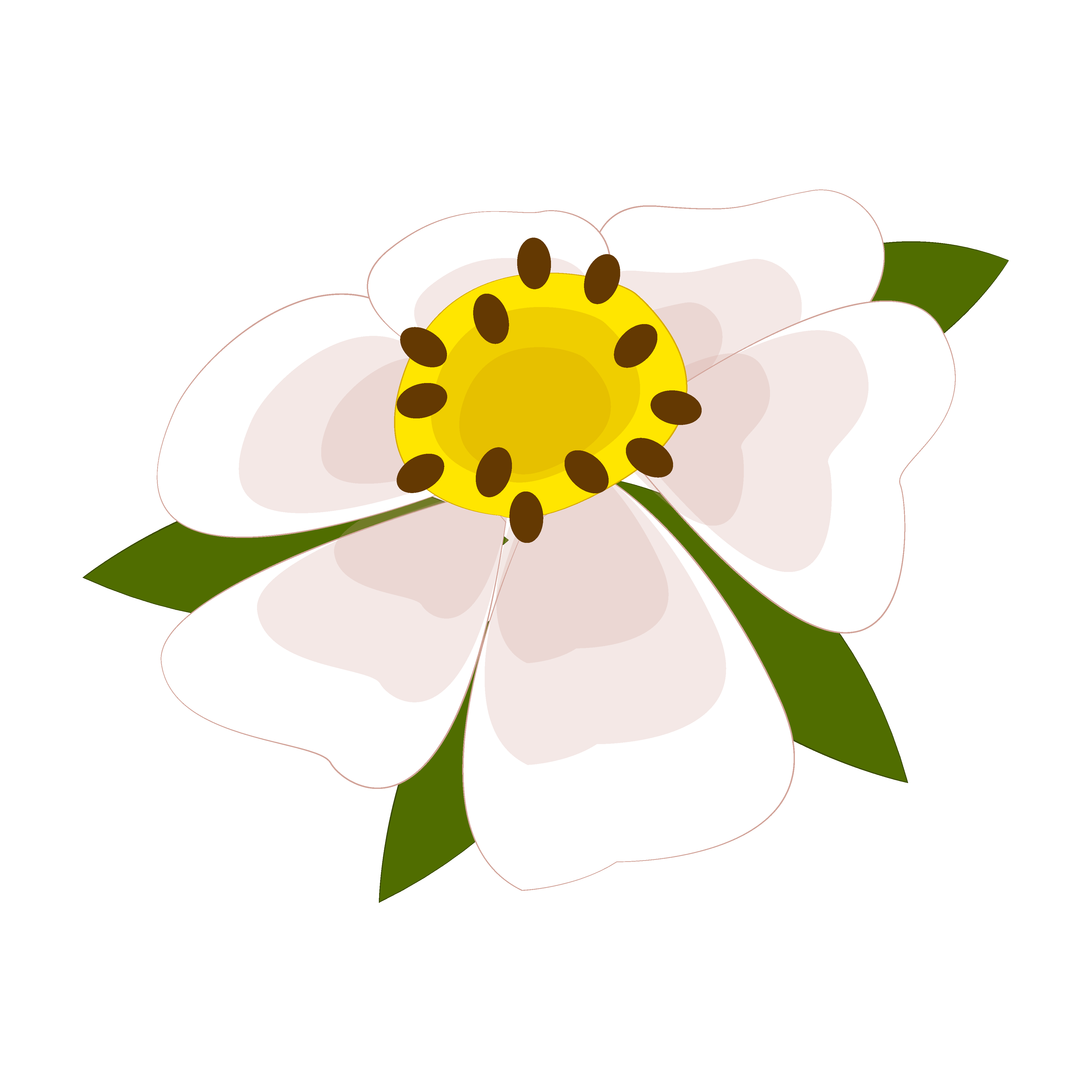 草莓花免抠图图1