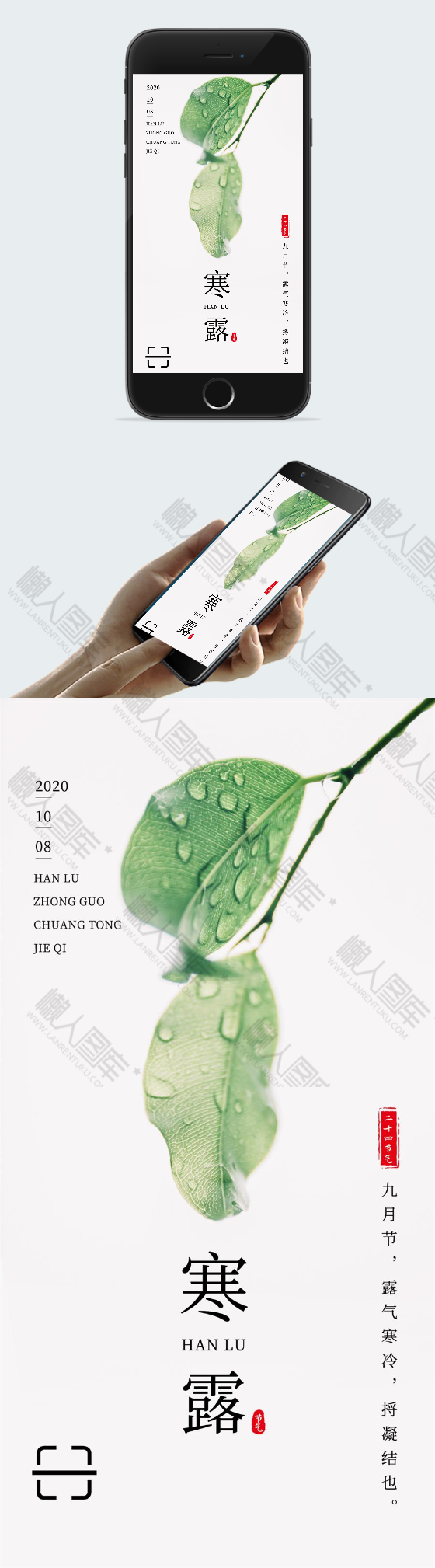 寒露节气手机海报图2