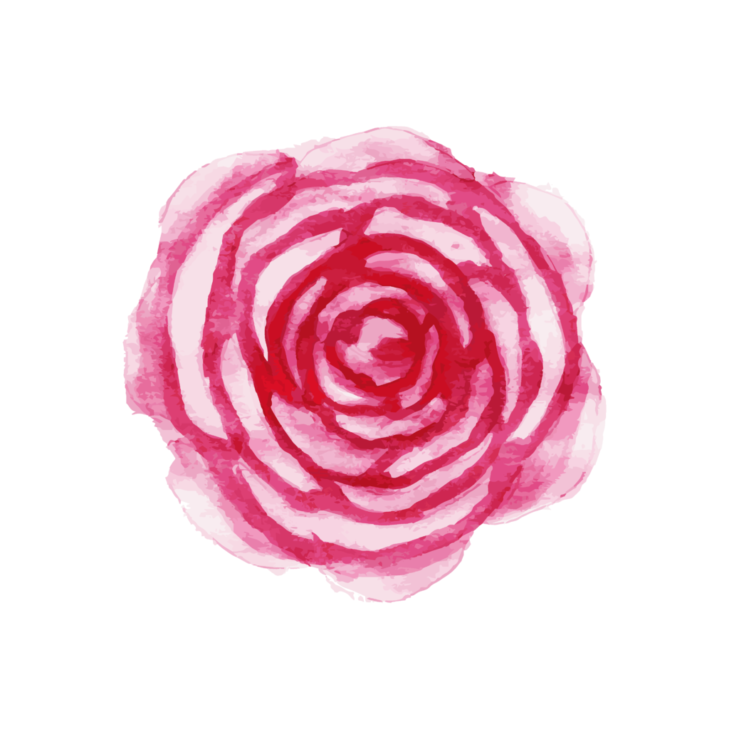 粉色水彩玫瑰图片