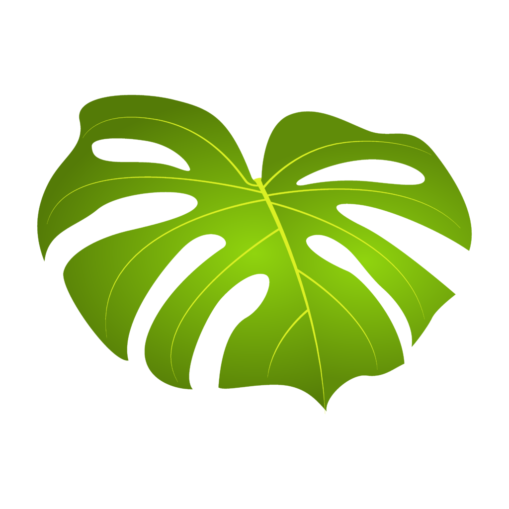 绿色热带植物树叶