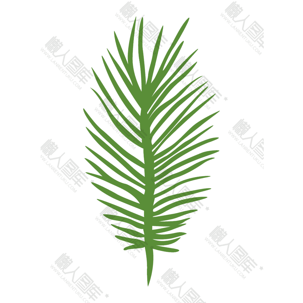 棕榈树叶元素